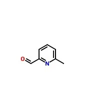 CAS 1122-72-1 |6-Metil-2-pyridinecarboxaldehyde