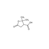 CAS:79-91-4|ASID TEREBIC