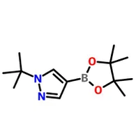 No. CAS1256359-15-5|1-tert-Butyl-4-(4,4,5,5-tetramethyl-1,3,2-dioxaborolan-2-yl){{12 }}H-pirazol
