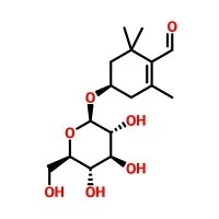 No. CAS138-55-6|Picrocrocin