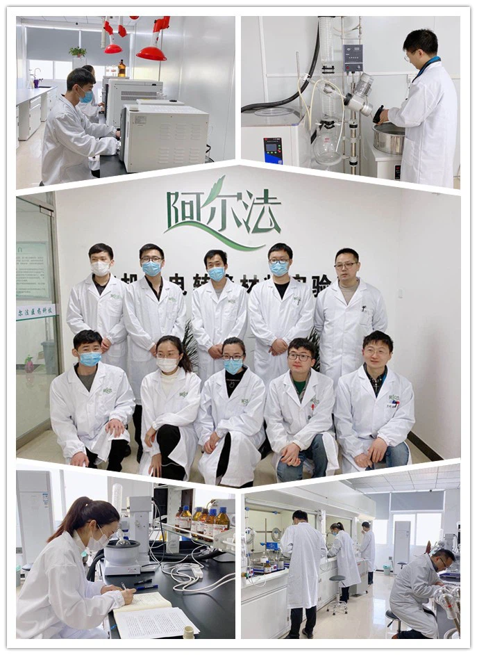 Menthyl Lactate | CAS No.17162-29-7