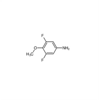 CAS:363-47-3|Benzenamine, 3,5-difluoro-4-methoxy- (9CI)