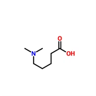 CAS 89855-60-7|5-(Dimethylamino)Asid pentanoik